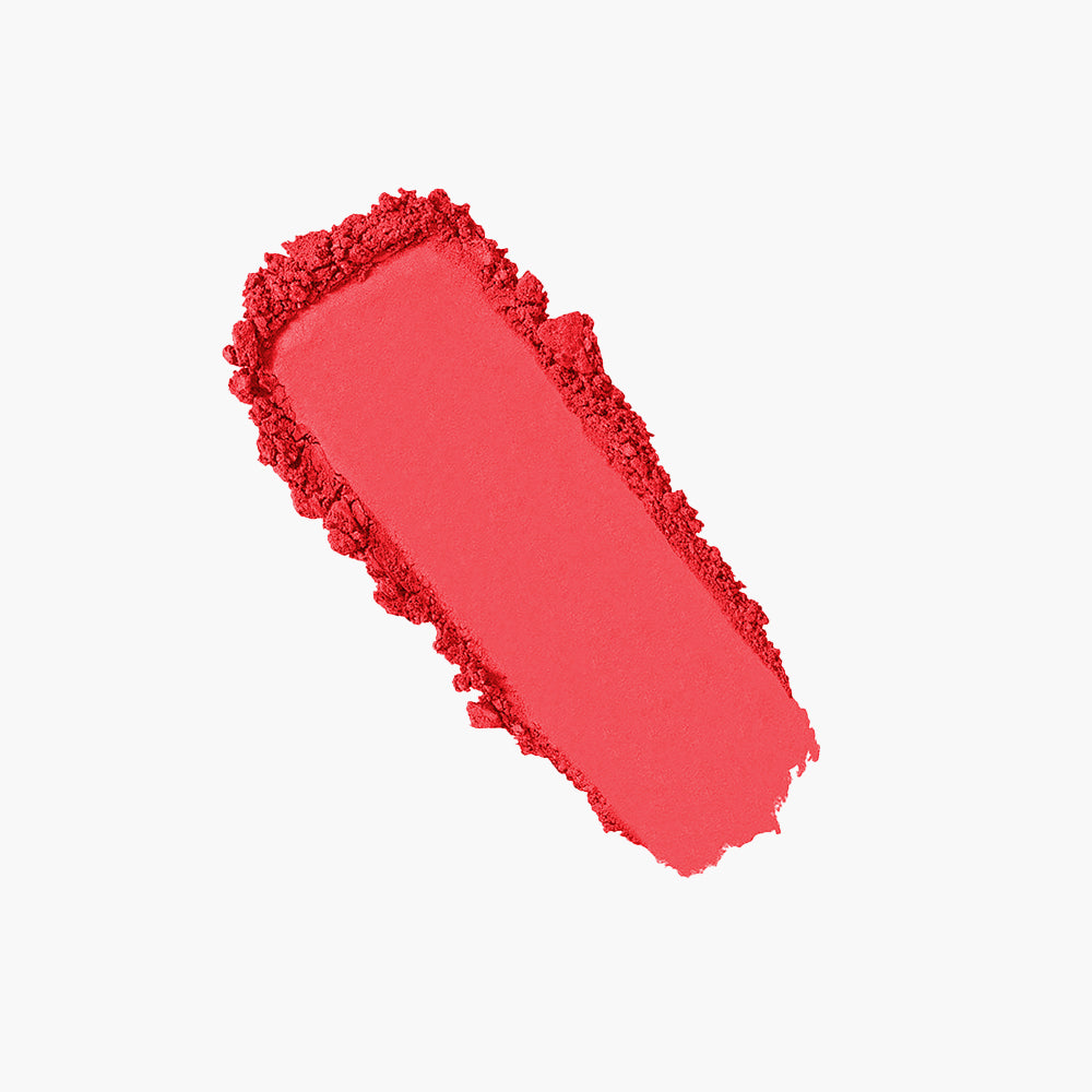 Powder blusher